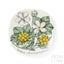 Arabia Botanica Cloudberry Wall Plate, Top View